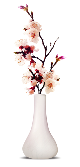 装饰品花卉花瓶素材